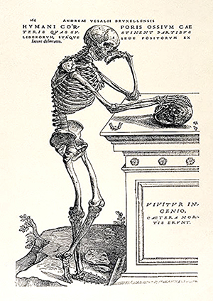 strona w budowie ma�a (164 kB)